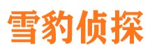 宝应找人公司